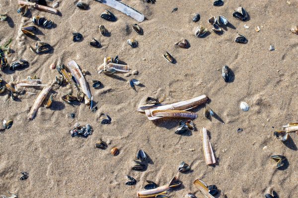 家长选择新加坡私立艺术教育时应关注哪些风险